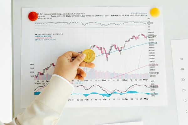 Custom Crypto Trading Bot Development - Python-Powered & Telegram/Web Integrated